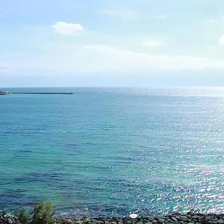 Denta نيسيبار