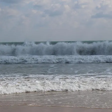 شقة Denta نيسيبار