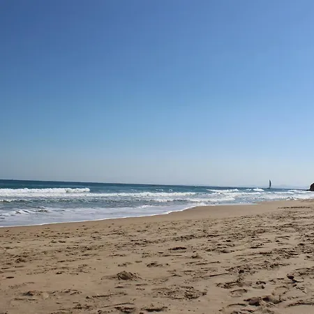 Denta * نيسيبار